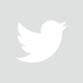Twitter_Logo_WhiteOnImage.png